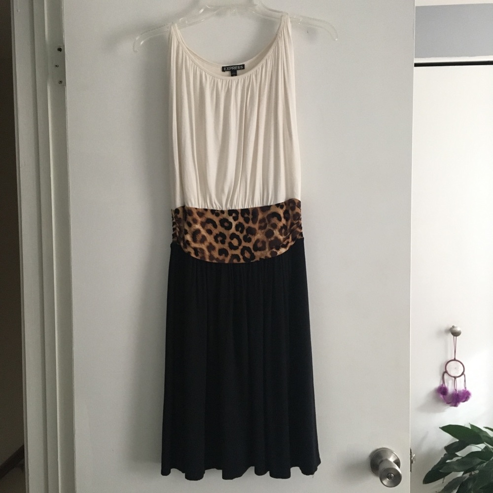 Express Dress